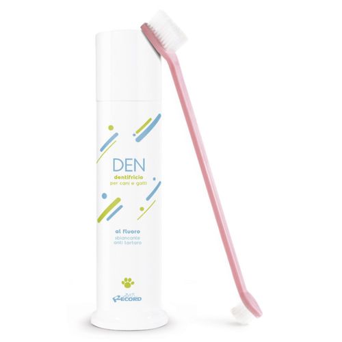 Record Dental Care Kit - szczoteczka i pasta do zębów, dla psa i kota