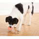 Nina Ottosson Dog Rumble Puzzle Level 1 - piłka na przysmaki, gra dla psa, poziom 1, pomarańczowa