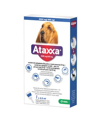 Ataxxa 2000mg/400mg - krople dla na pchły, kleszcze i komary dla psa o wadze powyżej 25kg