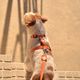 Dashi Solid Back Harness Orange - regulowane szelki guard dla psa, pomarańczowe