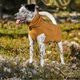 Hurtta Warming Midlayer Eco Desert - polar dla psa, z podszewką odbijającą ciepło, miodowy