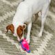 Outward Hound Durablez Pig 16cm - piszcząca zabawka dla psa, bez wypełnienia, różowa świnka