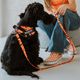 Julius-K9 MoreColor Leash Pixeljuice 120cm - smycz taśmowa dla psa, neoprenowy uchwyt, pomarańczowe piksele