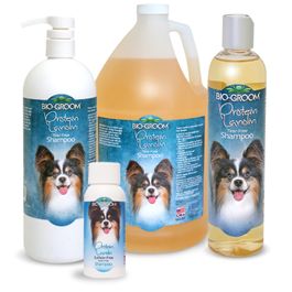 Bio groom protein lanolin shampoo 2025