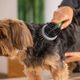 Moser Two-Sided Brush - Double-Sided Pet Brush, 2-in-1 Metal Pins + Nylon