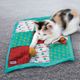 KONG Cat Puzzlements Pockets - mata węchowa dla kota, z 9 kieszeniami i kocimiętką