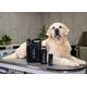 Show Tech Pure Coat Shampoo - Deep Cleansing and Degreasing Shampoo for Dogs & Cats, Concentrate 1:35
