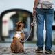 Max&Molly Rope Leash Matrix 2.0 200cm Sand - Adjustable Rope Leash for Dogs, Sandy Beige