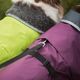 Perus Pomppa for Harness Plum - kurtka zimowa dla psa, z otworem na szelki, śliwkowa