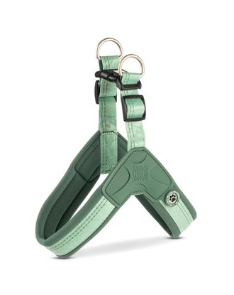 Max&Molly Q-Fit Harness Matrix 2.0 Jade - lekkie szelki step in dla psa, z identyfikatorem QR, miętowe