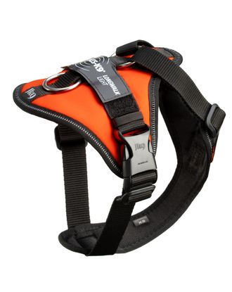 Julius-K9 IDC Longwalk Light Harness UV Orange - lekkie szelki trekkingowe dla psa, z kieszonką na GPS, pomarańczowe