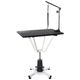Blovi Mars 81x52cm - Hydraulic Grooming Table