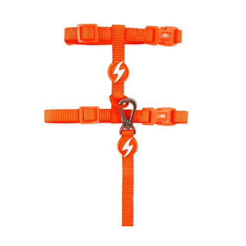 Dashi Neon Orange Cat Harness + Leash - nylonowe szelki i smycz dla kota, zestaw, neonowo pomarańczowe