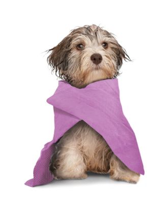 Record Dry Dog Towel 66x43cm - ręcznik chłodzący dla psa i kota