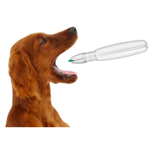 Pet Pill Pen blister - aplikator do podawania tabletek dla psa i kota