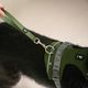 Hurtta Rover Harness Forest - Adjustable Harness for Medium & Large Dogs, Green