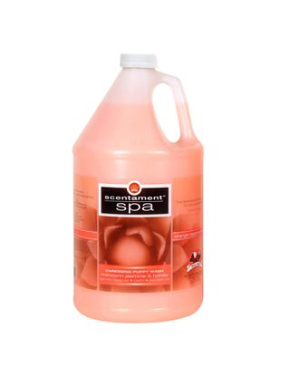 Best Shot Spa Mandarin Jasmine Puppy Conditioner - hipoalergiczna, zmiękczająco-nabłyszczająca odżywka dla szczeniąt i kociąt, o zapachu jaśminu i miodu, koncentrat 1:6 - 3,8L