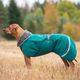 Toppa Pomppa for Harness Forest - bardzo ciepła kurtka zimowa dla psa, z otworem na szelki, zielona