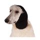 Show Tech Ear Buddy L - Show Tech Ear Buddy XL - Headband for Shy Dog Drying, Black