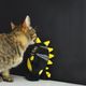 Dashi Nero Plush Pet Toy 16cm - pluszowa zabawka dla psa z piszczałką, czarny stworek