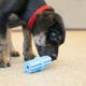 KONG Puppy Teething Stick - gumowy gryzak dentystyczny dla szczeniaka, oryginalny, niebieski