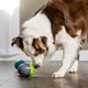 PetSafe Ricochet Electronic Dog Toy - interaktywna zabawka dla psa, piszczące kulki