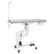 Blovi VT01 Veterinary Table 140x50cm - Procedure Table with Adjustable V-Top Surface