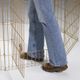 MidWest Gold Zinc Exercise Pen 61x76cm - Durable Gold-Colored Zinc-Plated Dog Playpen