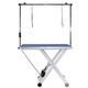 Blovi Eden - Electric Grooming Table 120x65cm