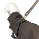 Max&Molly Raincoat for Dogs Matrix 2.0 Stone - kurtka dla psa, płaszcz przeciwdeszczowy, szary
